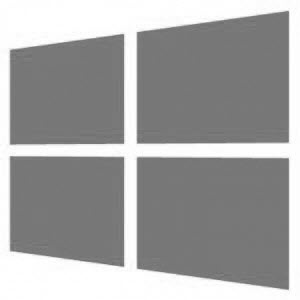 Windows key